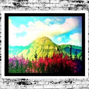 Landscape Mountain Wildflower Bright Magical Surreal Art Photography